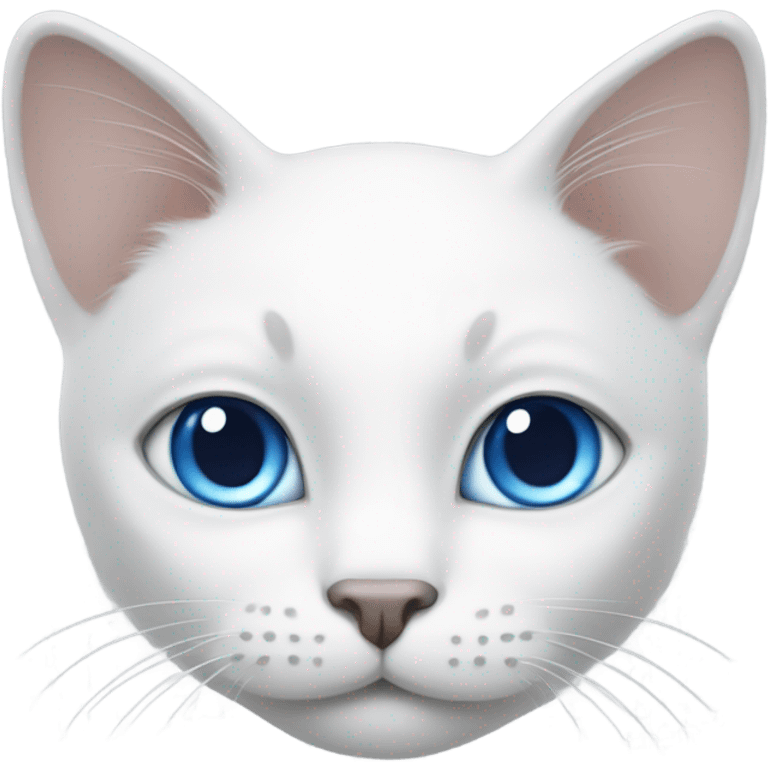 White cat with grey on middle face and ears, big blue eyes  emoji