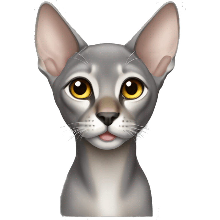 Silver Abyssinian without a left ear emoji