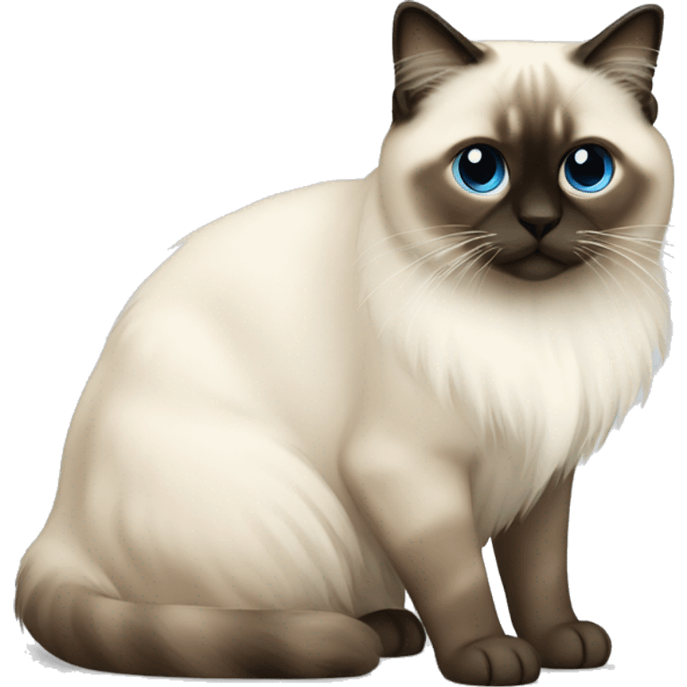 Birman cat  emoji