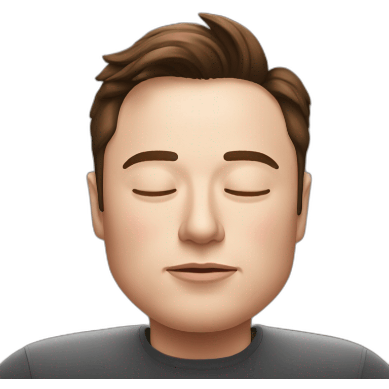 Elon musk sleep emoji