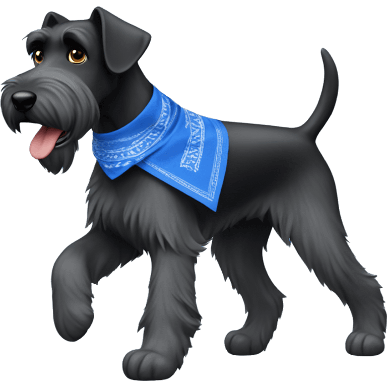 Giant schnauzer running around with a blue bandanna  emoji