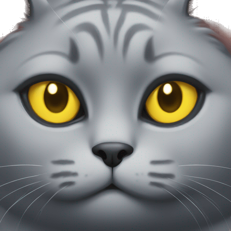 fat grey cat with yellow eyes  emoji