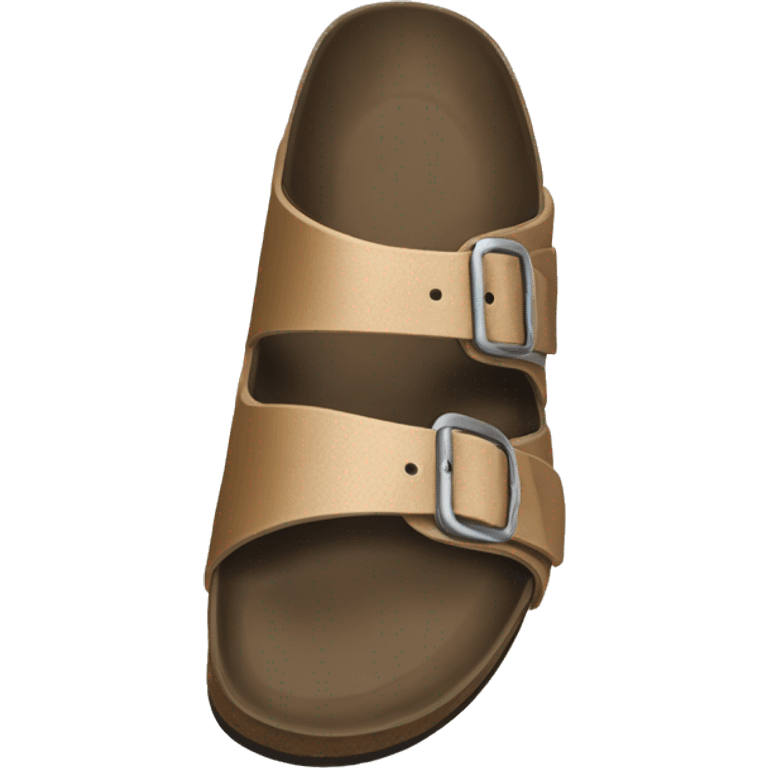 birkenstock bostons emoji