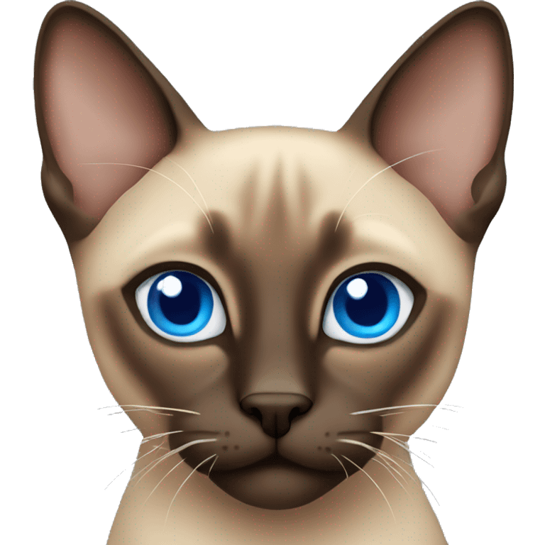 Brown Siamese cat with blue eyes emoji