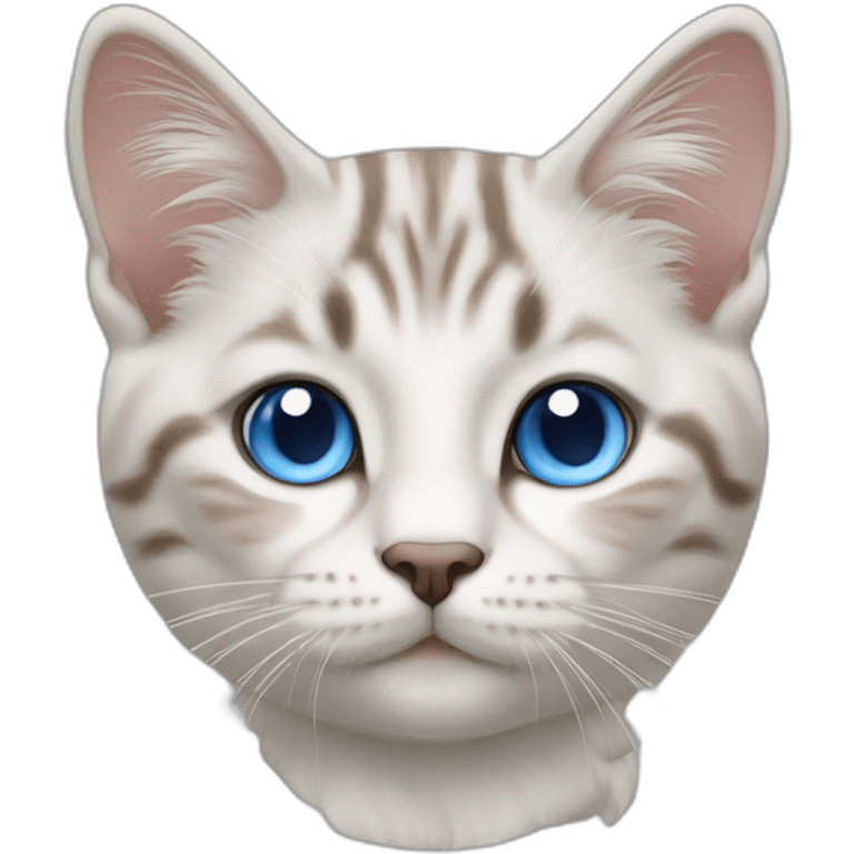 tabby point cat white blue eyes emoji