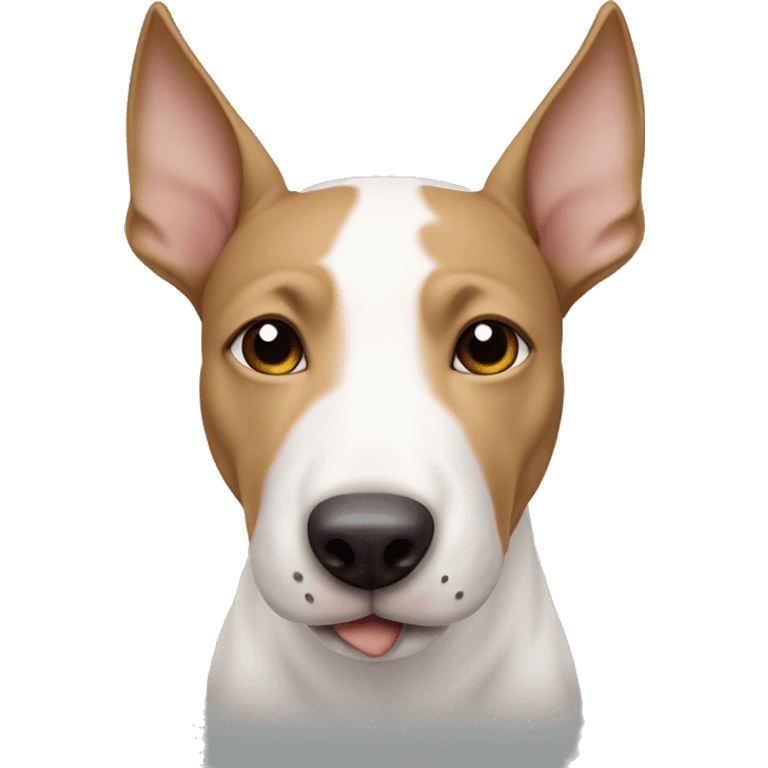 white bull terrier with the right ear and right eyebrow light brown emoji