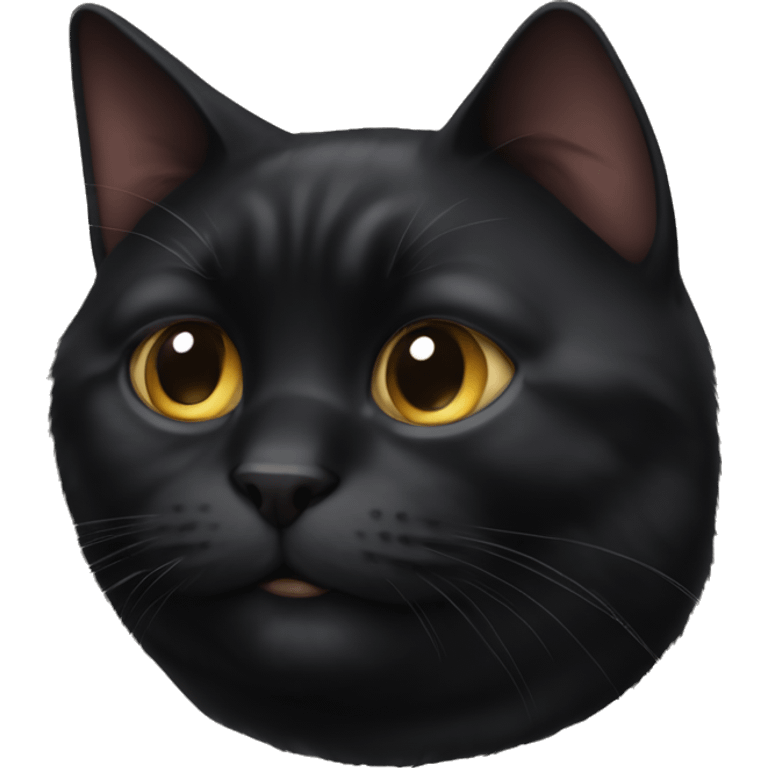 Super fat black cat  emoji