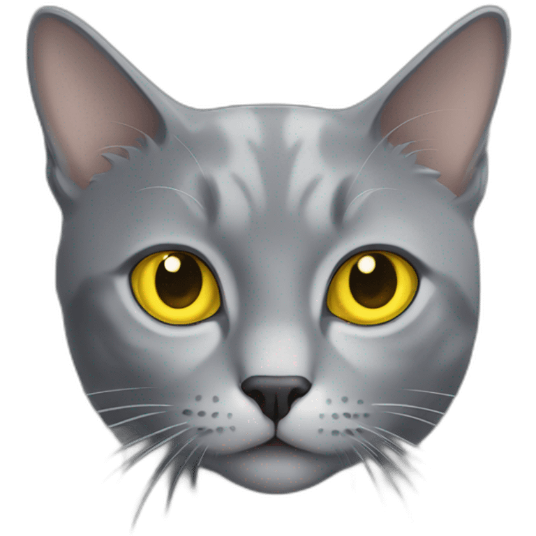 Gray cat with yellow eyes emoji