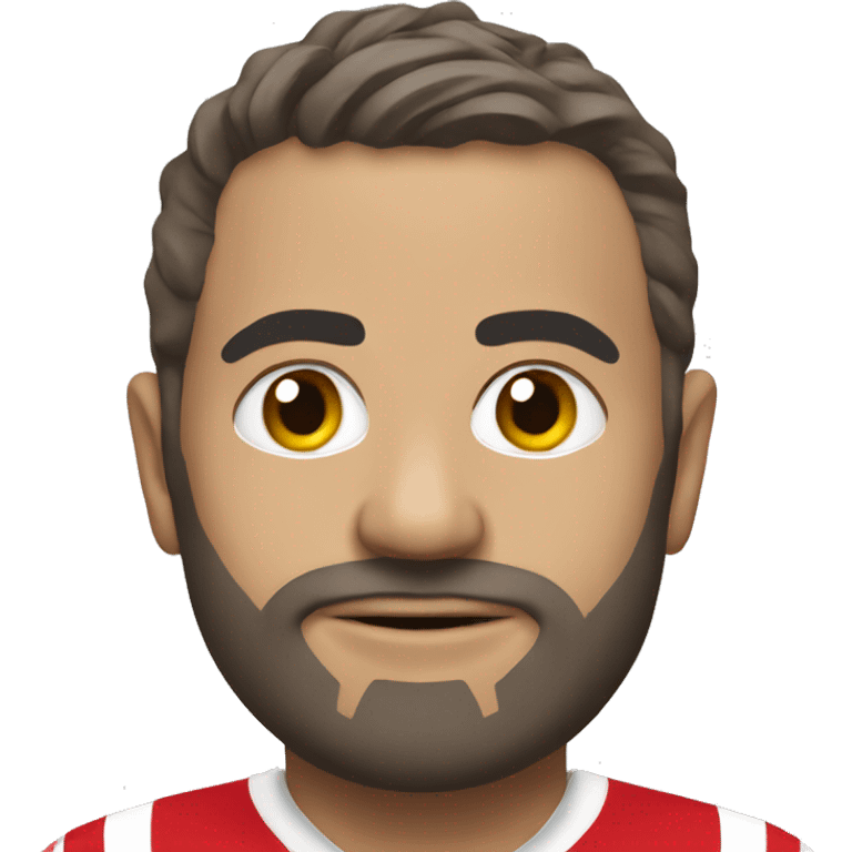 Bristol city emoji