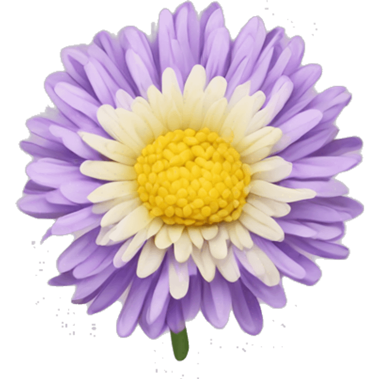 chrysanthemum emoji