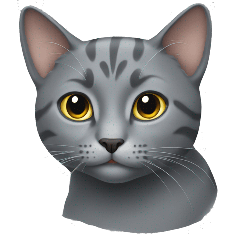 Grey cat with 🩷 emoji