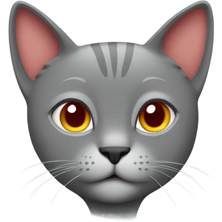 A grey cat wearing a red t shirt  emoji