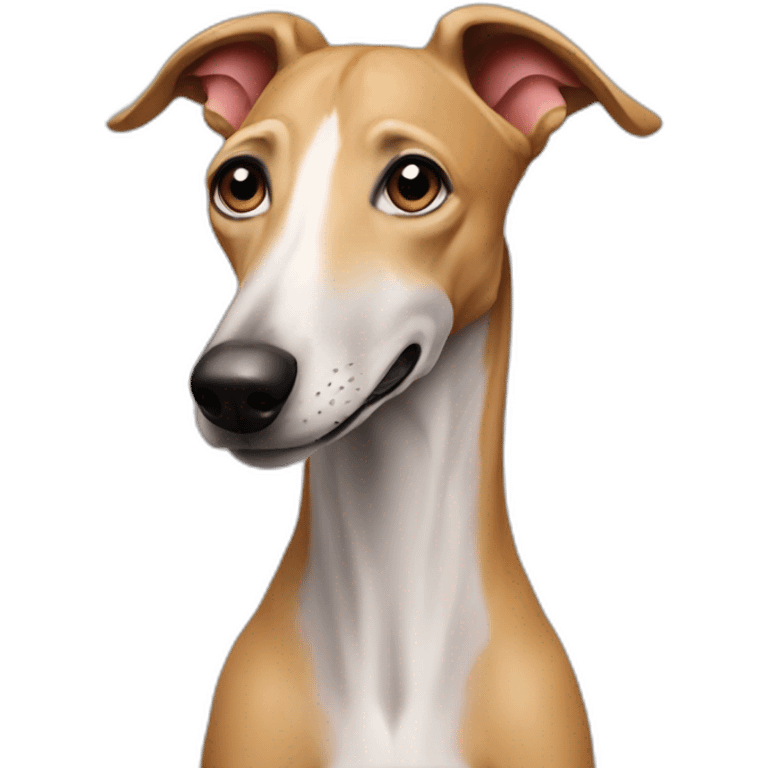 an Italian galgo sending kisses emoji