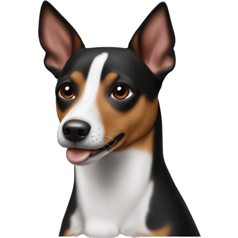 Basenji rat terrier black face emoji