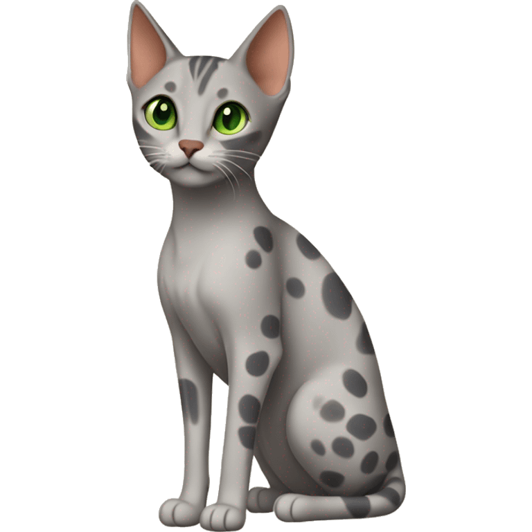 Short-haired oriental cat ,full body , grey coat with spots , green eyes , terracotta nuzzle emoji