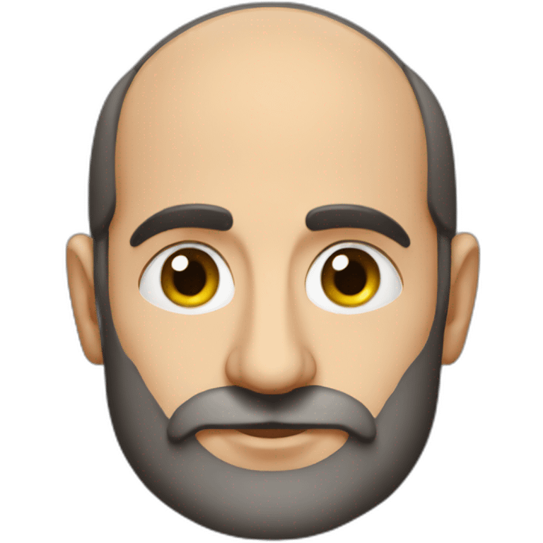 pashinyan emoji