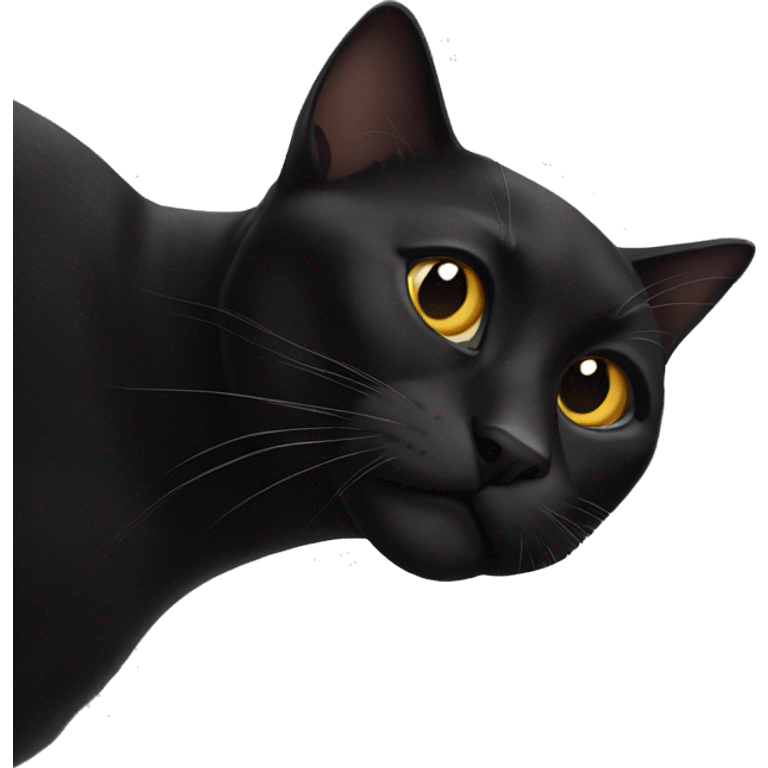 Black cat  emoji