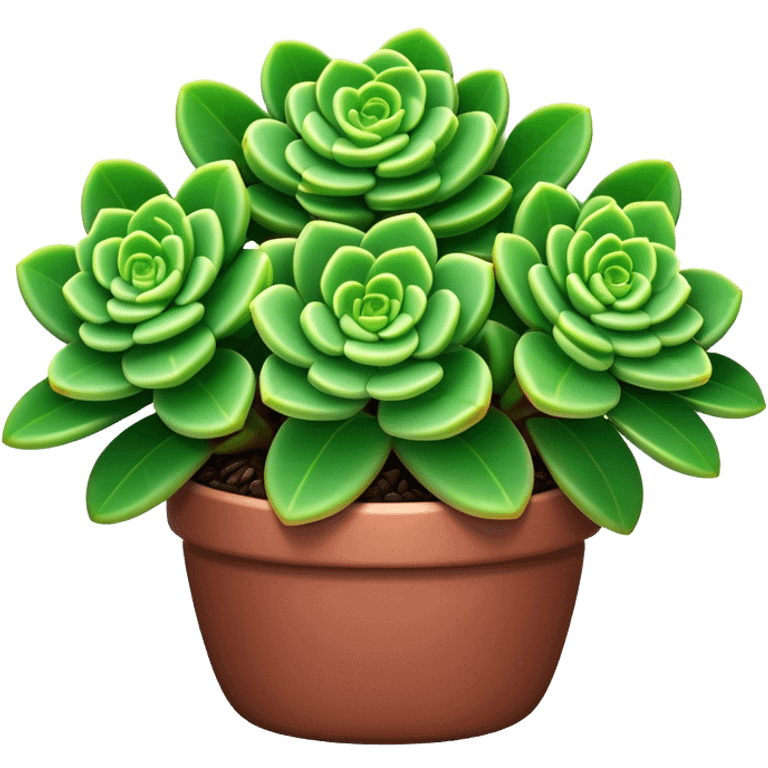 Cinematic Realistic Crassula Emoji, Compact and vibrant, with small, fleshy leaves arranged in thick, rounded clusters. The deep green hue of the leaves radiates calm, while their structured growth speaks of endurance. Soft glowing outline, capturing the essence of perseverance and tranquility in a crassula plant! emoji