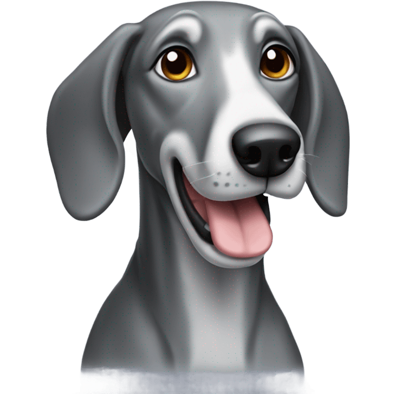 Grey hound dog emoji