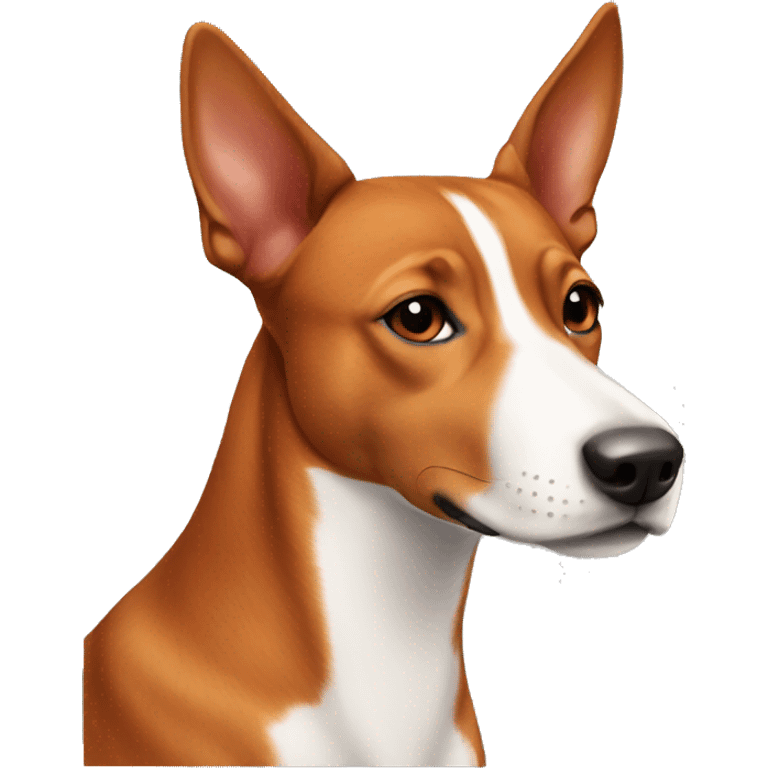 The red-haired girl loves Basenji emoji