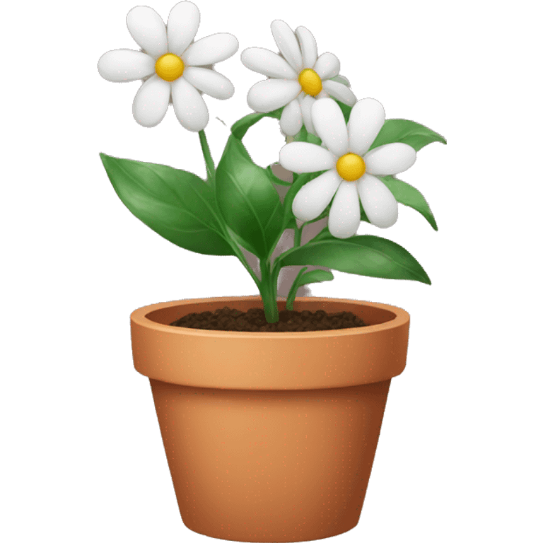 indoor flower in a pot emoji