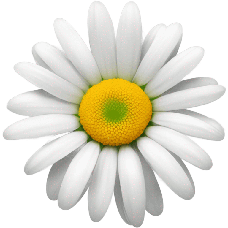 daisy vibrant white emoji