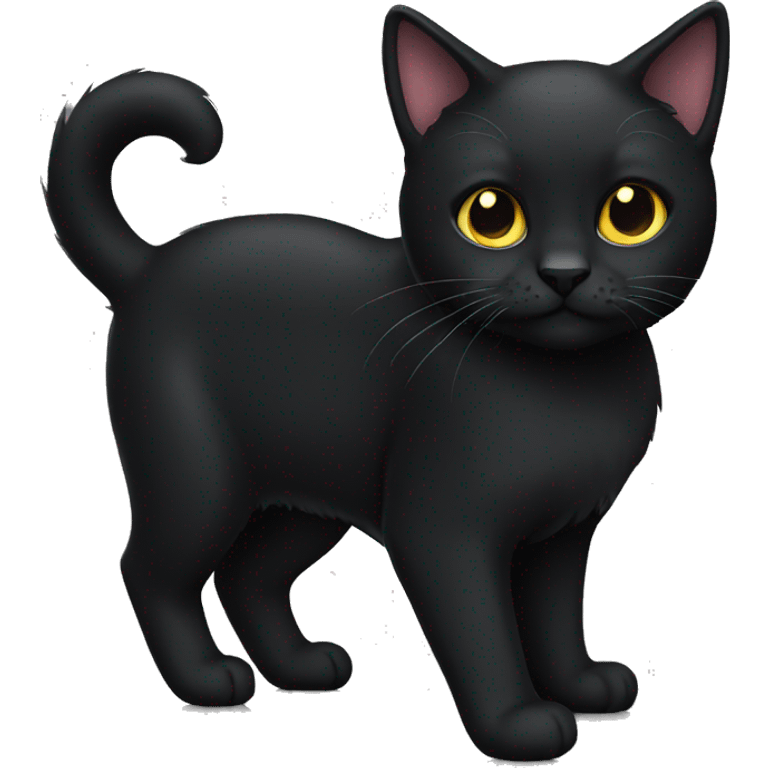 black cat emoji