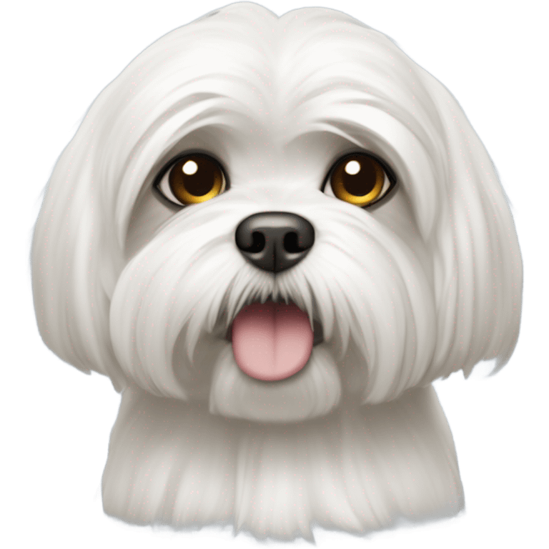 Lhasa Apso branco emoji