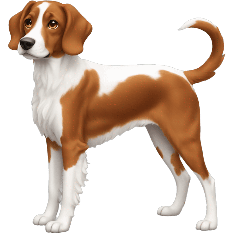 Brittany Dog Breed Full Body emoji