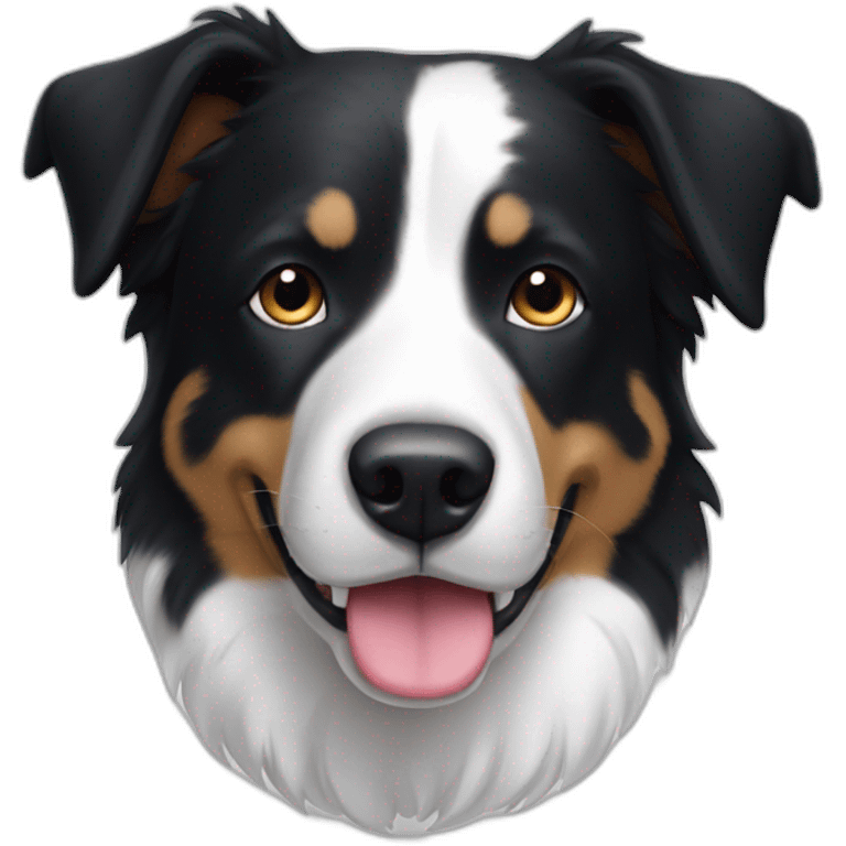 short-hair, black-and-white, border-collie-american-bulldog, white-fur-around-left-eye emoji