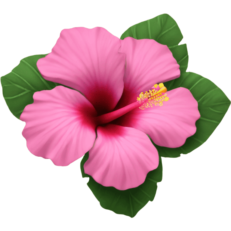 pink hibiscus flower emoji