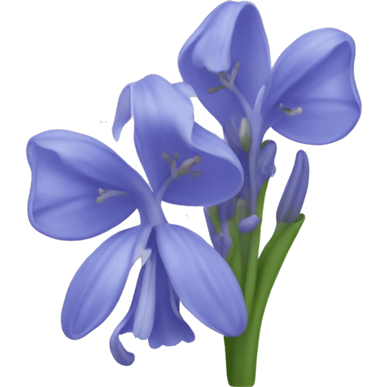 Bluebell flower emoji