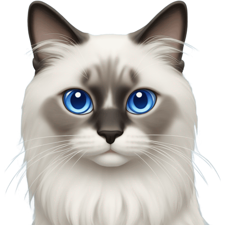 Two Blue point ragdoll cats with medium length hair, with blue eyes  emoji