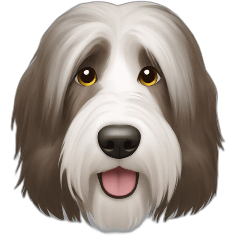 Bearded collie brown spot emoji