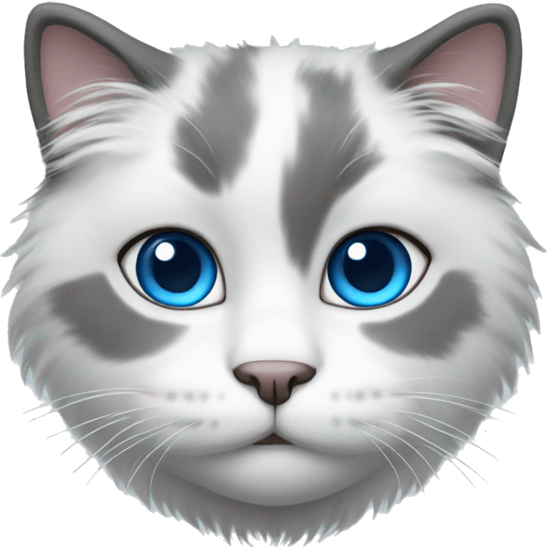 Grey and white fluffy cat blue eyes emoji