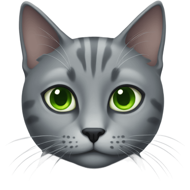 Grey cat with green eyes  emoji