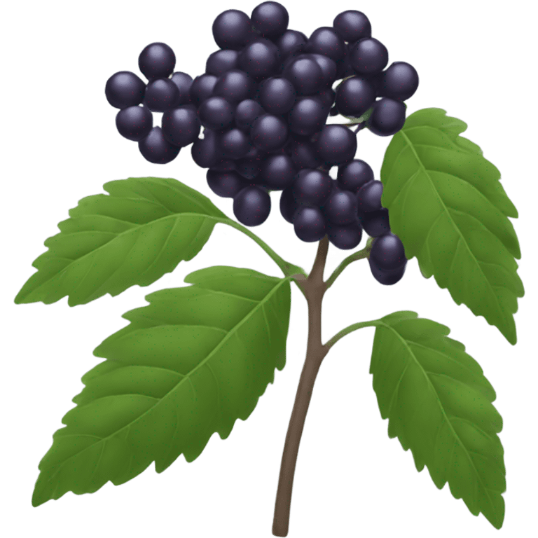 elderberry emoji