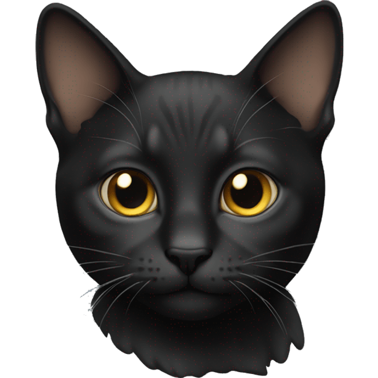 Cat black emoji