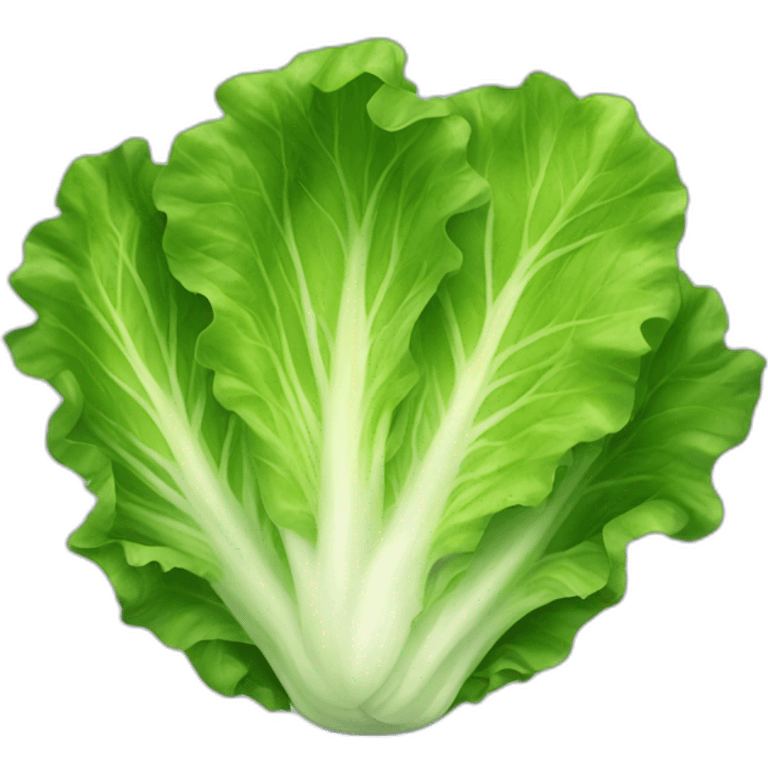 lettuce emoji