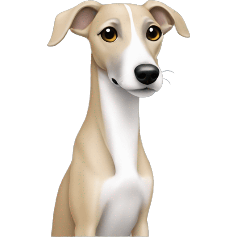 whippet with dark blond girl emoji