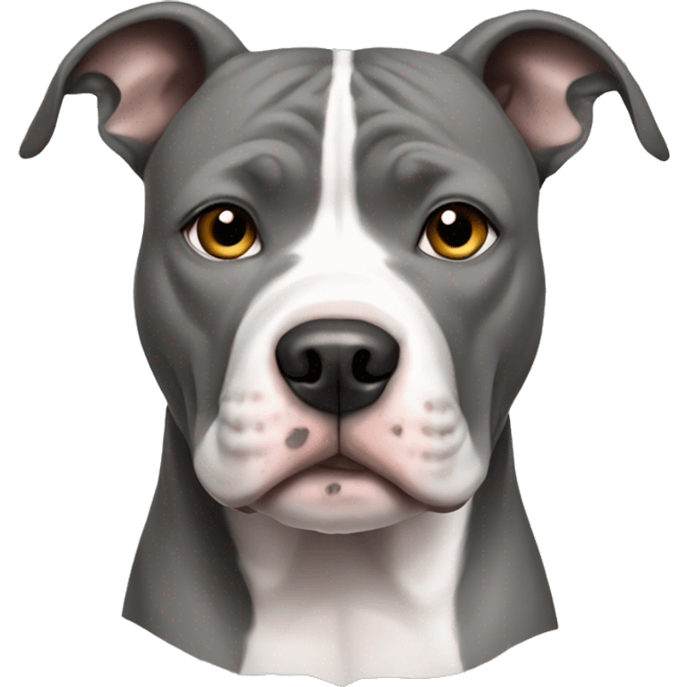 Pitbull with solid grey face and white chest emoji