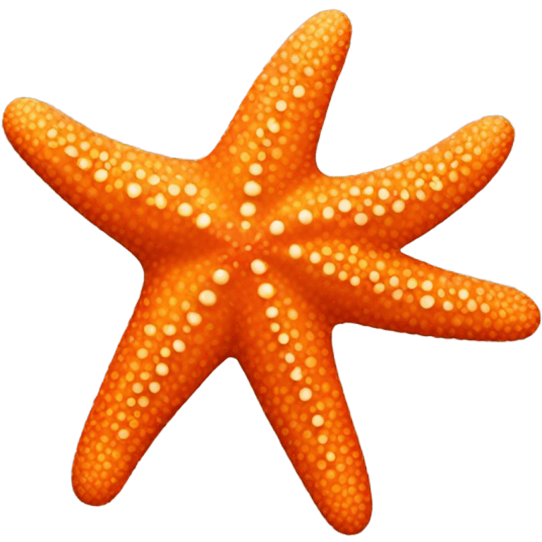 starfish emoji