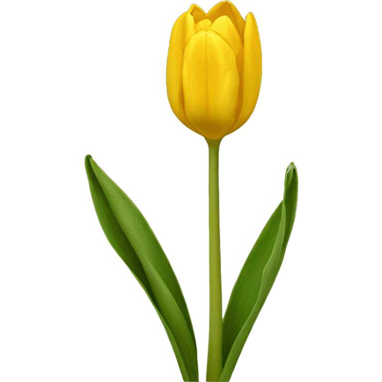 Tulipan amarillo emoji