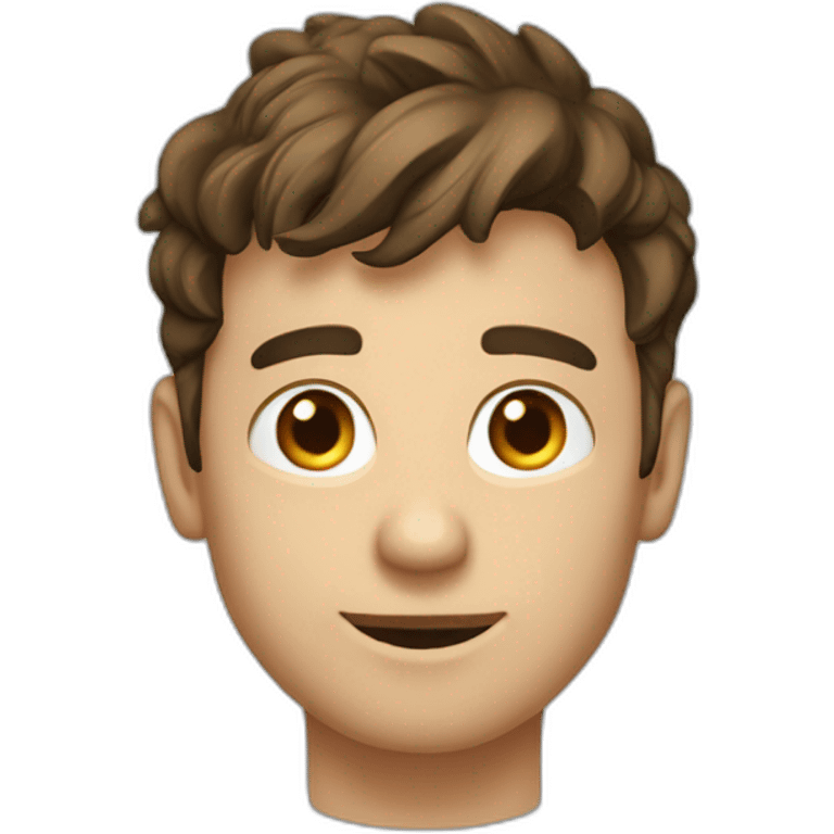 Matthieu - web dev - Declercq emoji