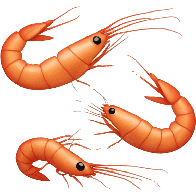 shrimp emoji