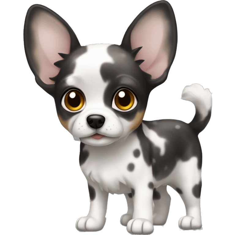 Сhihuahua, dark merle color and white spots with big ears emoji