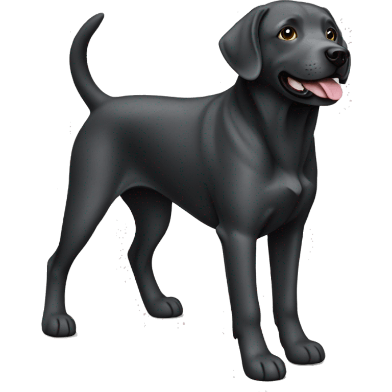 Charcoal Labrador retriever  emoji