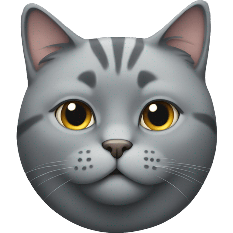 Fat Grey cat  emoji