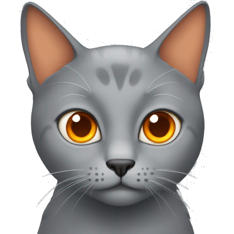 Grey cat with orange eyebrows  emoji