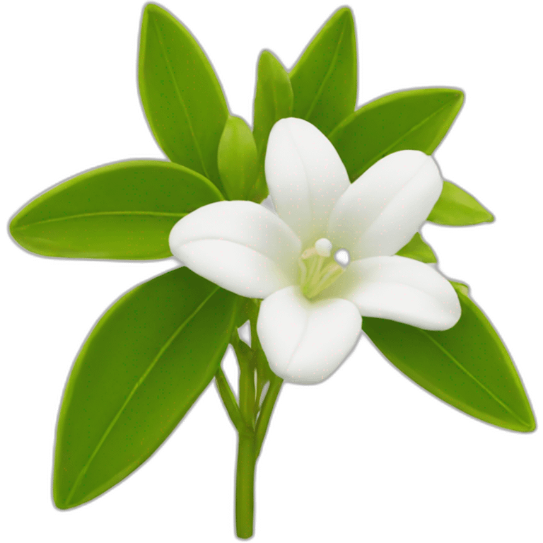  jasminum Flower emoji